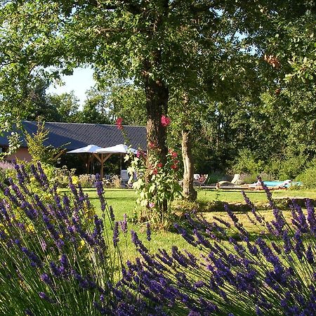 La Villa Des Pins Verrieres  Екстер'єр фото